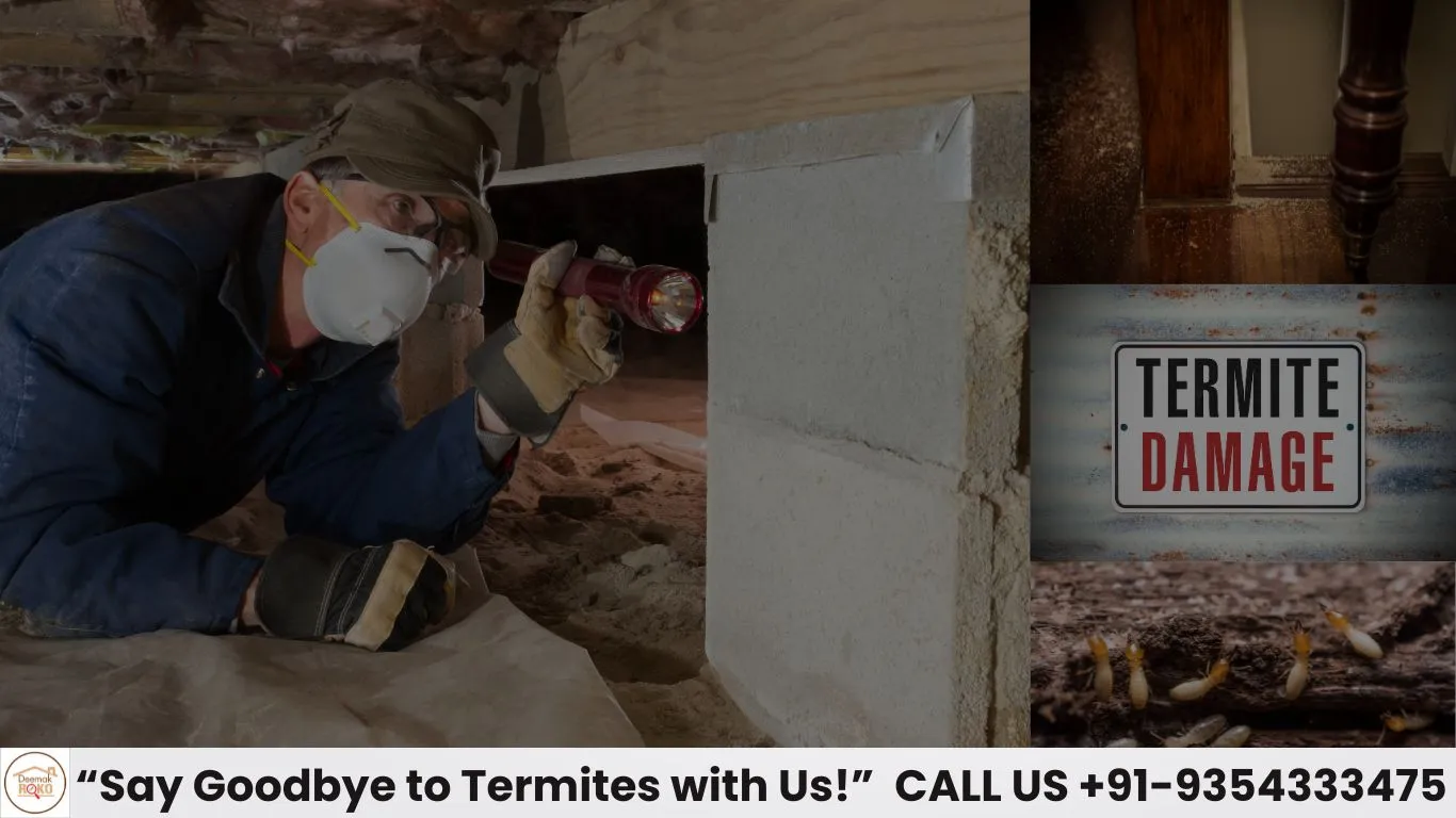 Best Termite Trestment Company: Deemak Roko